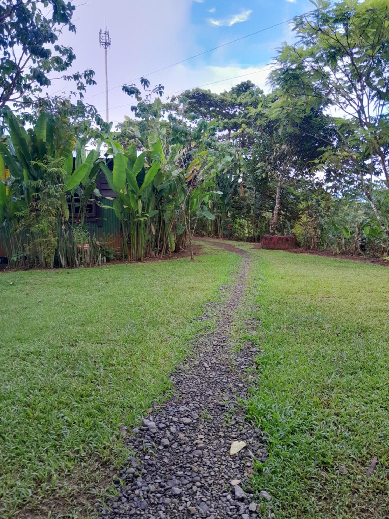 Finca La Puesta Del Sol - Miramar De Sierpe Ruang foto