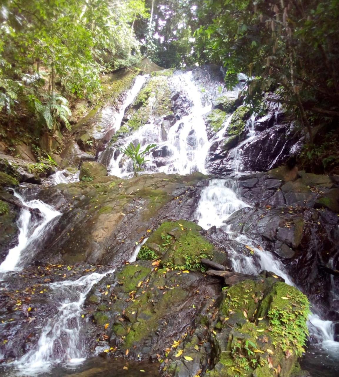Finca La Puesta Del Sol - Miramar De Sierpe Bagian luar foto