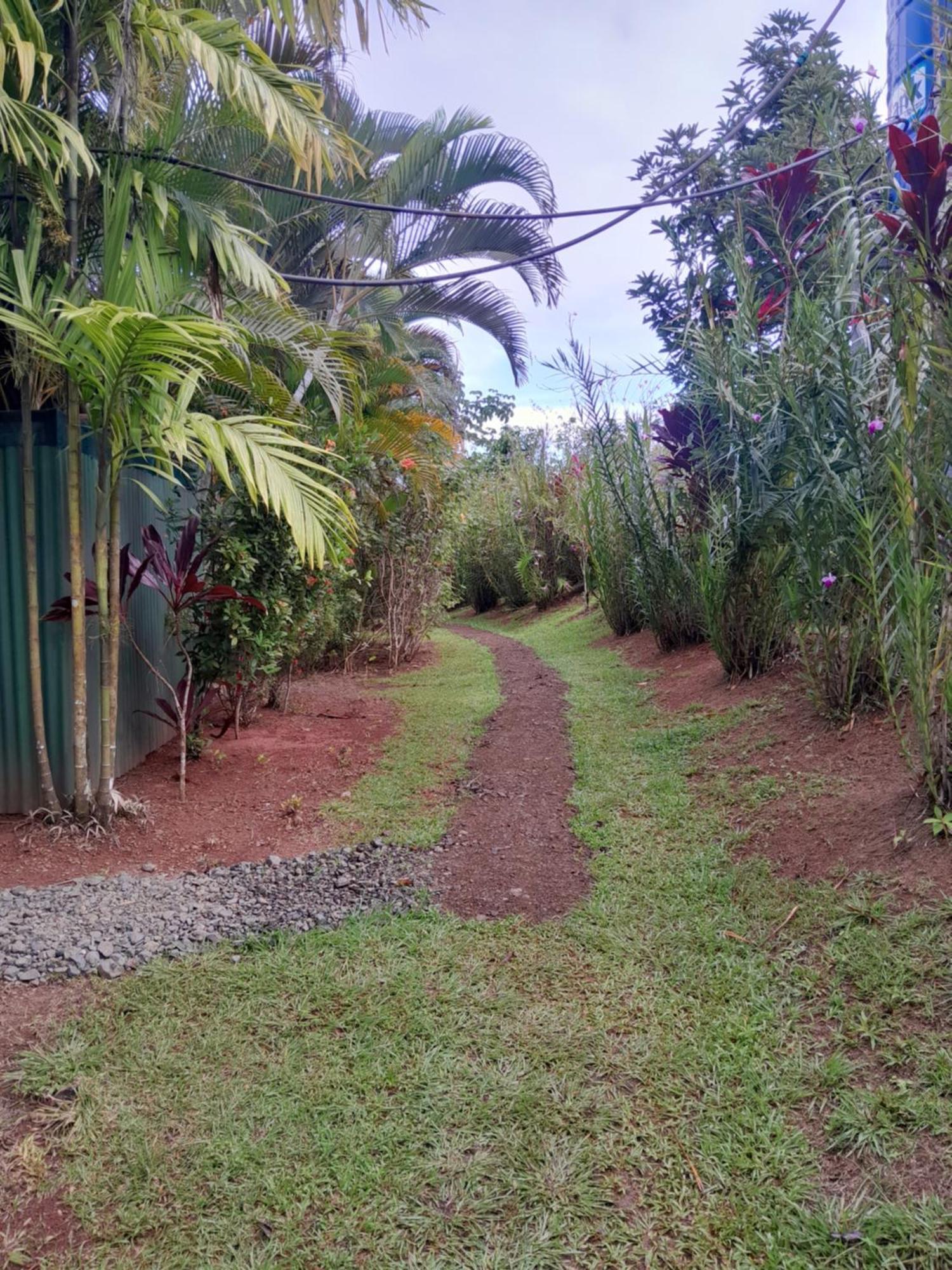 Finca La Puesta Del Sol - Miramar De Sierpe Ruang foto