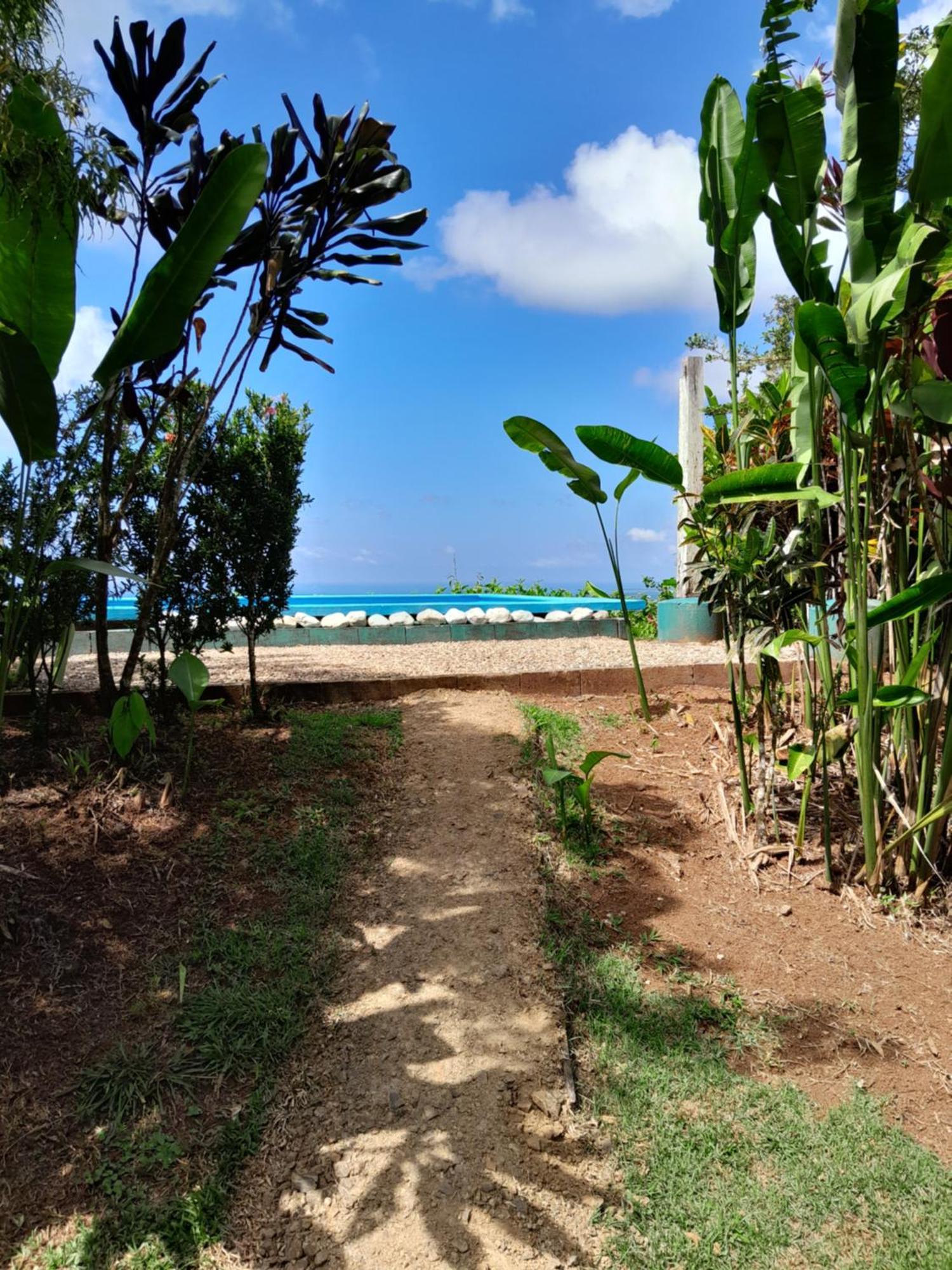 Finca La Puesta Del Sol - Miramar De Sierpe Ruang foto