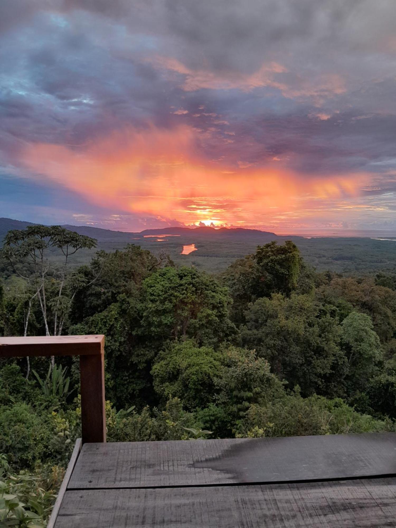 Finca La Puesta Del Sol - Miramar De Sierpe Ruang foto