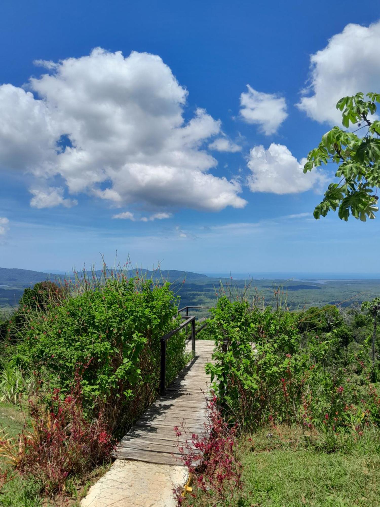 Finca La Puesta Del Sol - Miramar De Sierpe Ruang foto