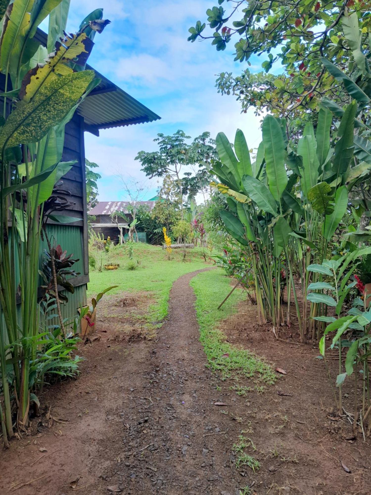 Finca La Puesta Del Sol - Miramar De Sierpe Ruang foto