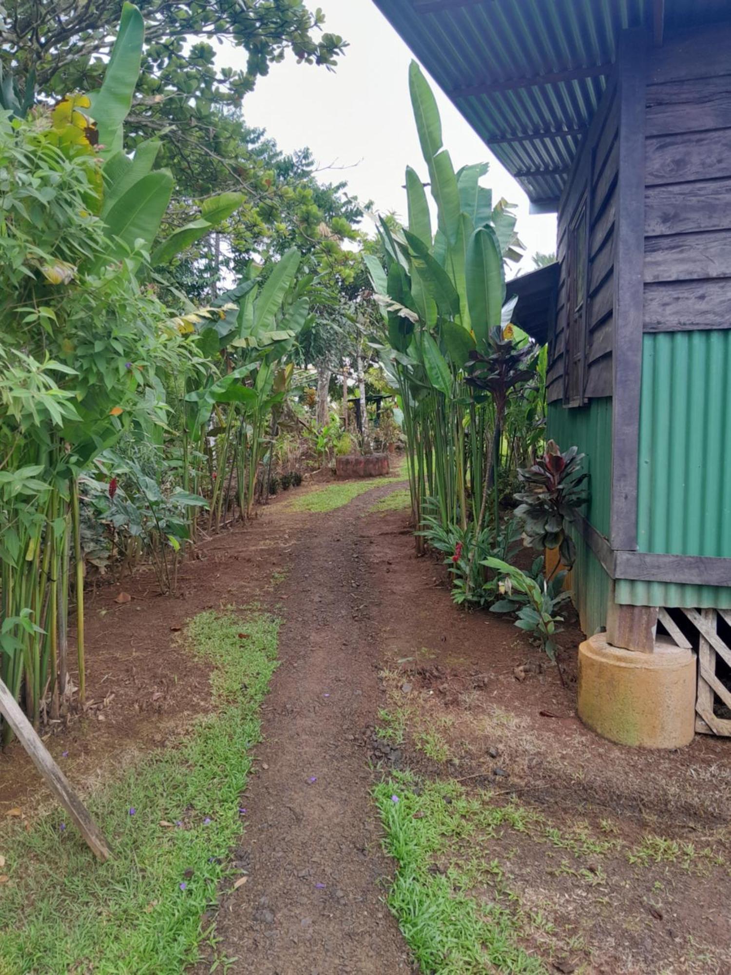 Finca La Puesta Del Sol - Miramar De Sierpe Ruang foto