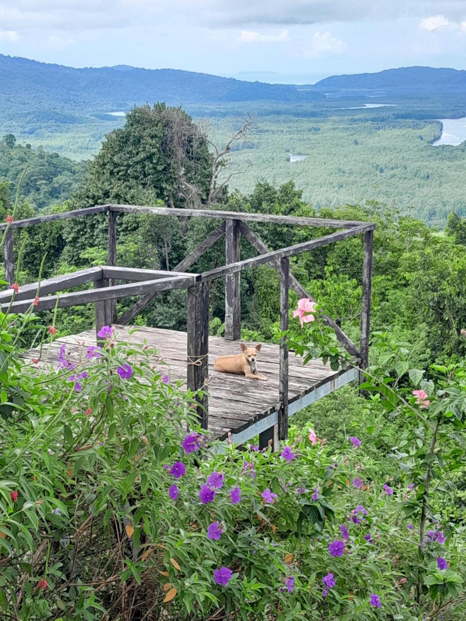 Finca La Puesta Del Sol - Miramar De Sierpe Ruang foto