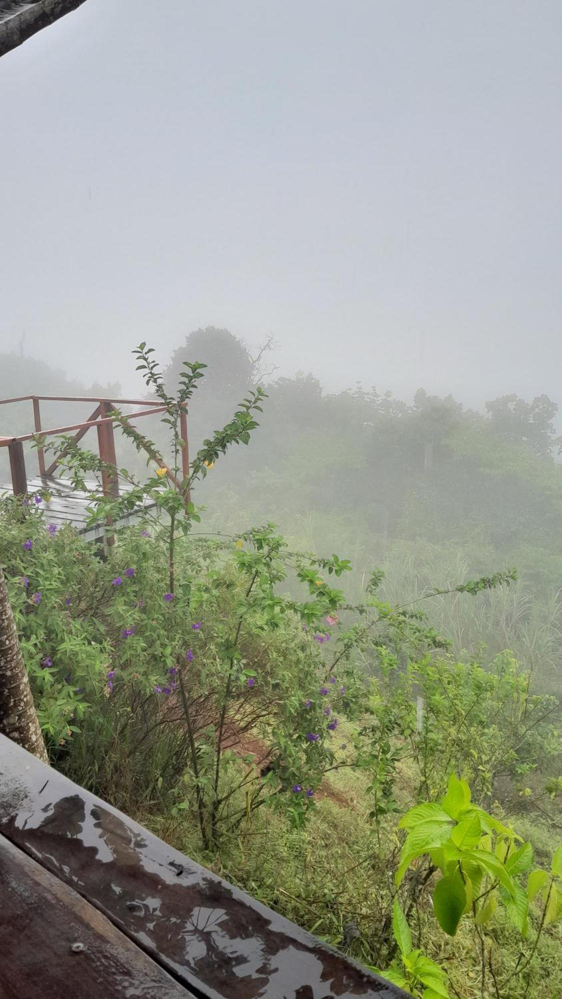 Finca La Puesta Del Sol - Miramar De Sierpe Ruang foto